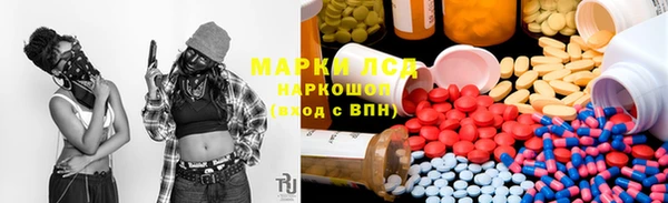 прущие крисы Бородино