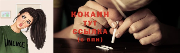 прущие крисы Бородино