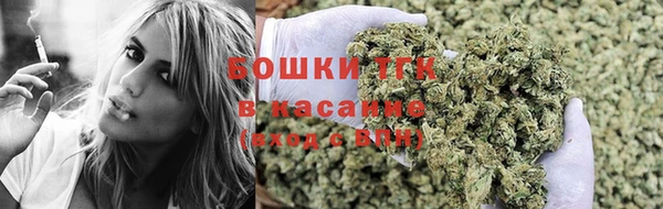 прущие крисы Бородино