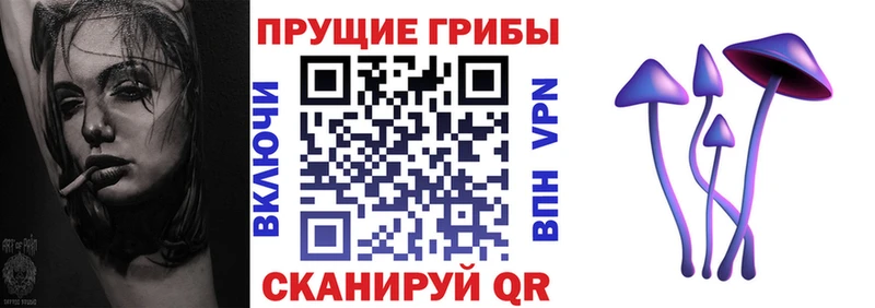 Галлюциногенные грибы Psilocybine cubensis  сколько стоит  omg вход  Отрадная 